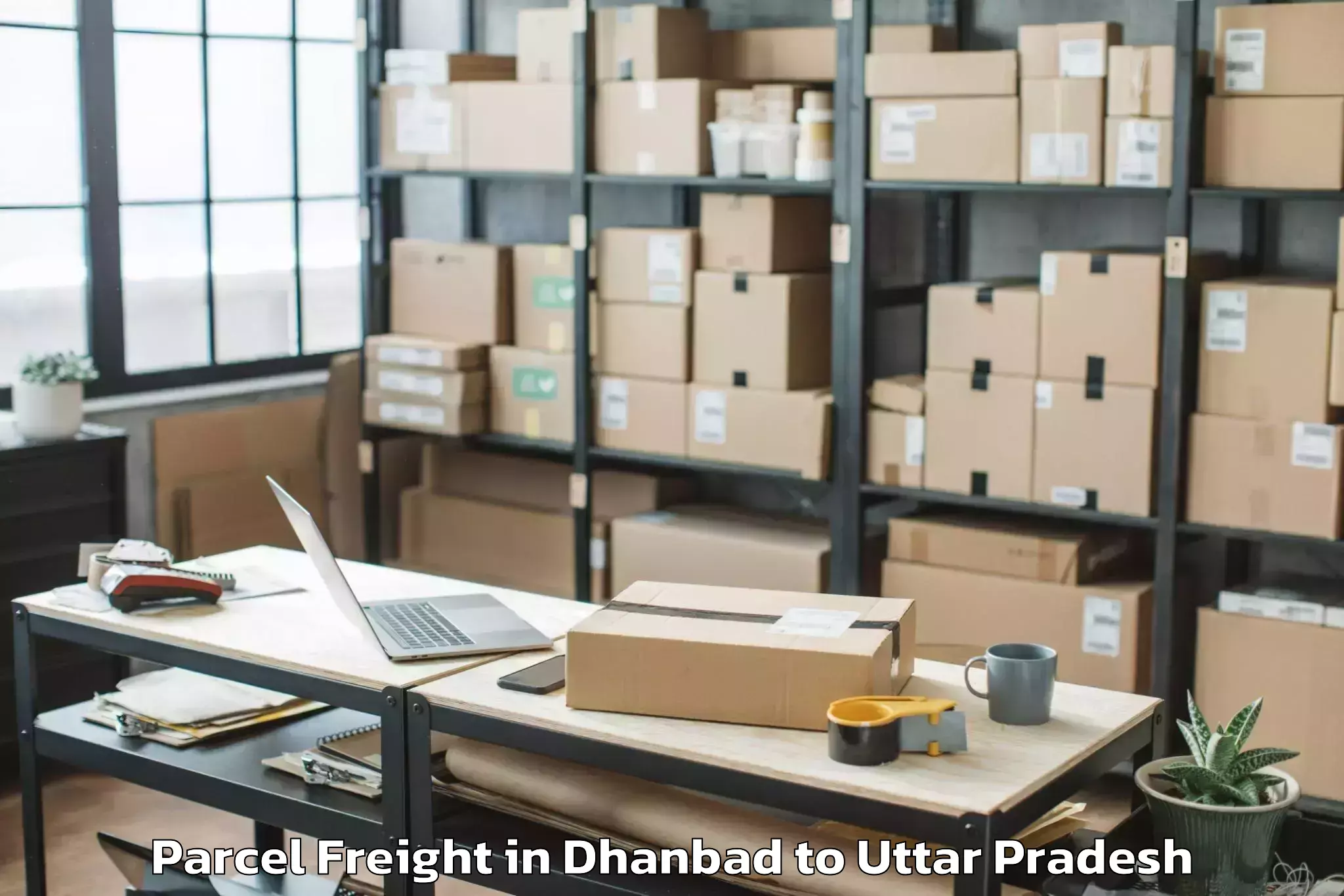 Top Dhanbad to Chandra Shekhar Azad Universit Parcel Freight Available